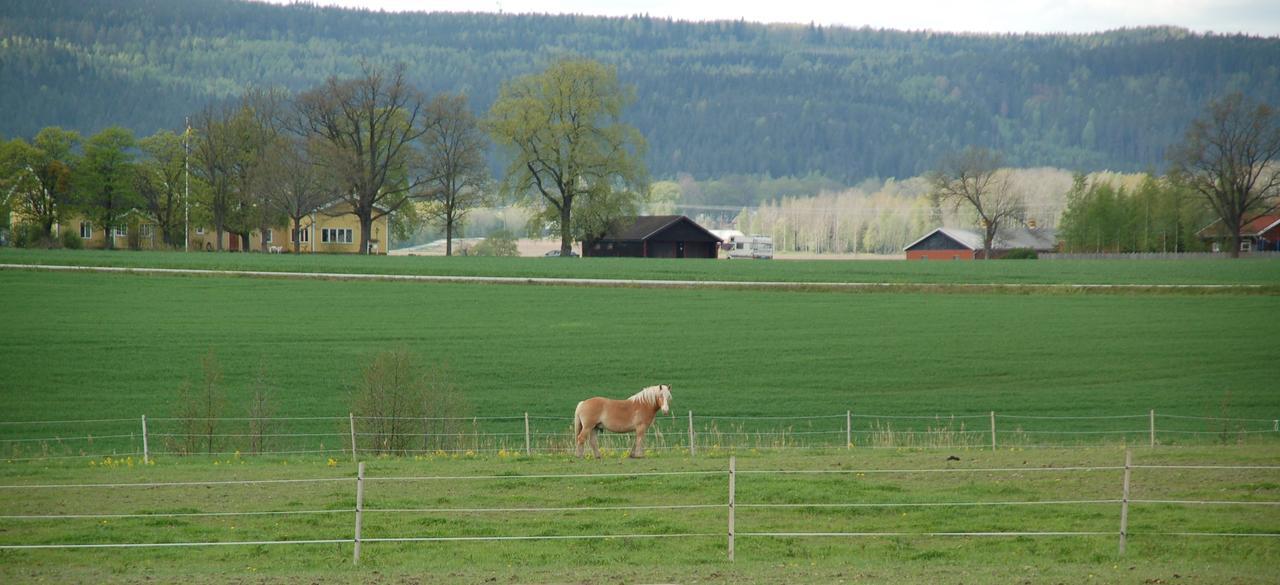 Vallby Farm Camp Örebro Esterno foto